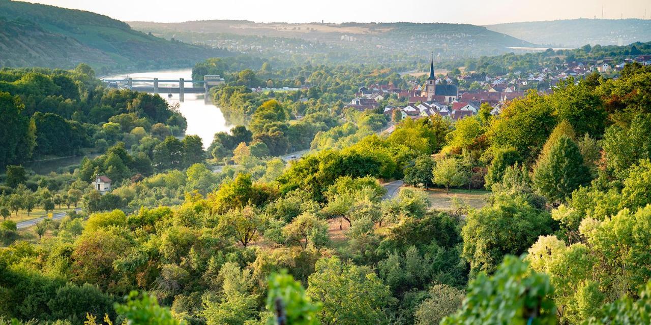 Weingut Martin Blass Erlabrunn  Eksteriør billede